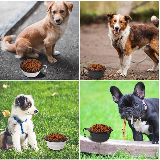 Dog Bowl Collapsible, 2 Pack, Portable & Foldable, Small, Black+White
