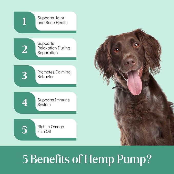 Dr. Fossum's Hemp Calming & Mobility Supplement for Dogs 6lbs & Over, Omega, 6lbs