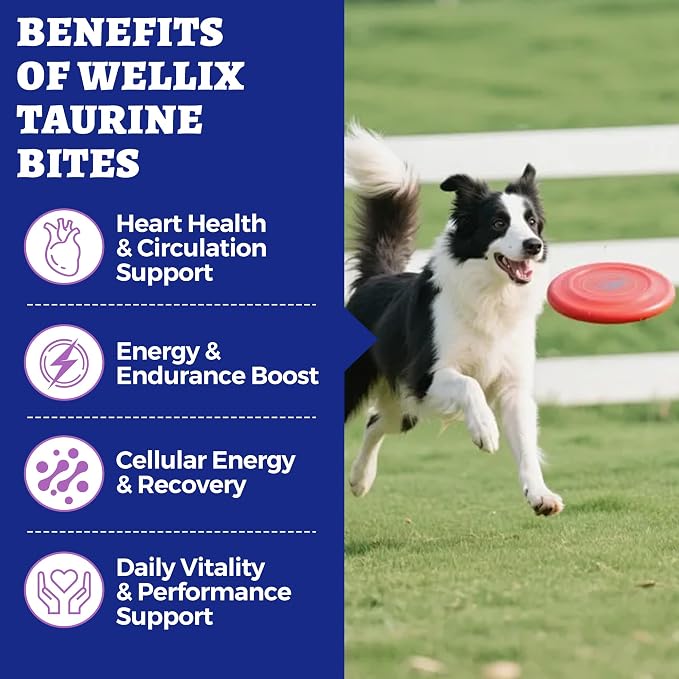 Wellix 25% Taurine for Dogs, with High-Strength CoQ10, L-Carnitine - 9.17oz | 500mg Taurine + 200 mg L-Carnitine | Healthy Heart Supplements for Heart Muscle Function & Cardiovascular Health