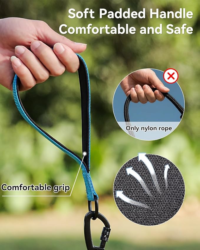 Joytale Long Dog Leash for Yard Tie Out & Recall Training, Blue, 30FT | Secure Locking Carabiner, Removable Padded Handle, Reflective Webbing for Night Safety, Ideal for Outdoor Play and Camping