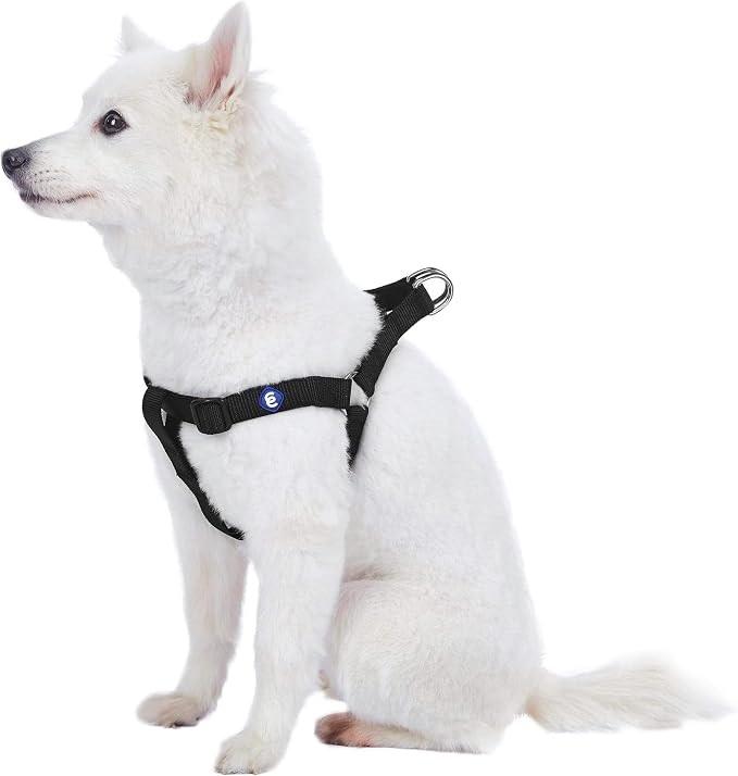 Blueberry Pet Essentials Step-in Dog Harness, Medium Size | Adjustable Black Vest | Classic Solid Nylon for Boy & Girl Dogs, Chest Girth 20" -26"