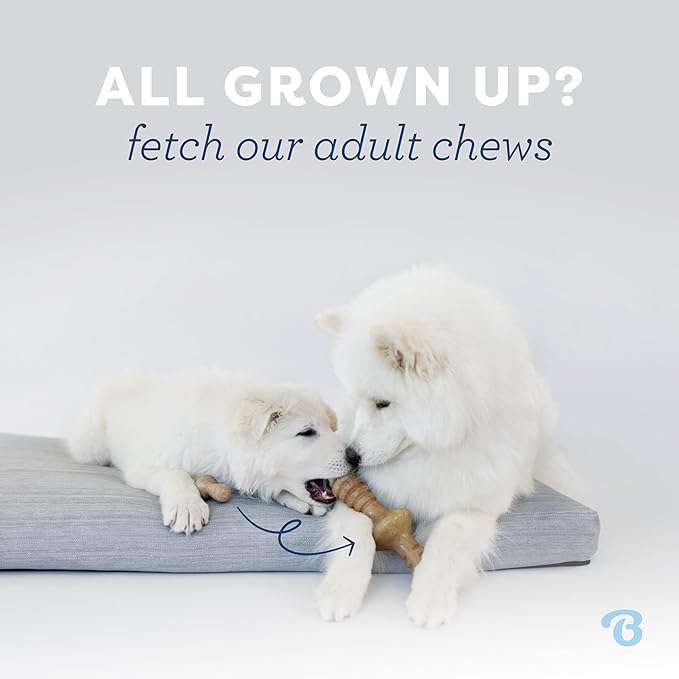 Benebone Puppy 4-Pack Dog Chew Toys for Gentle Chewers, Dog Bones, Small | Durable Made in USA, REAL Bacon, Jack Salmon & Maplewood Flavors, Puppy Teething Toys