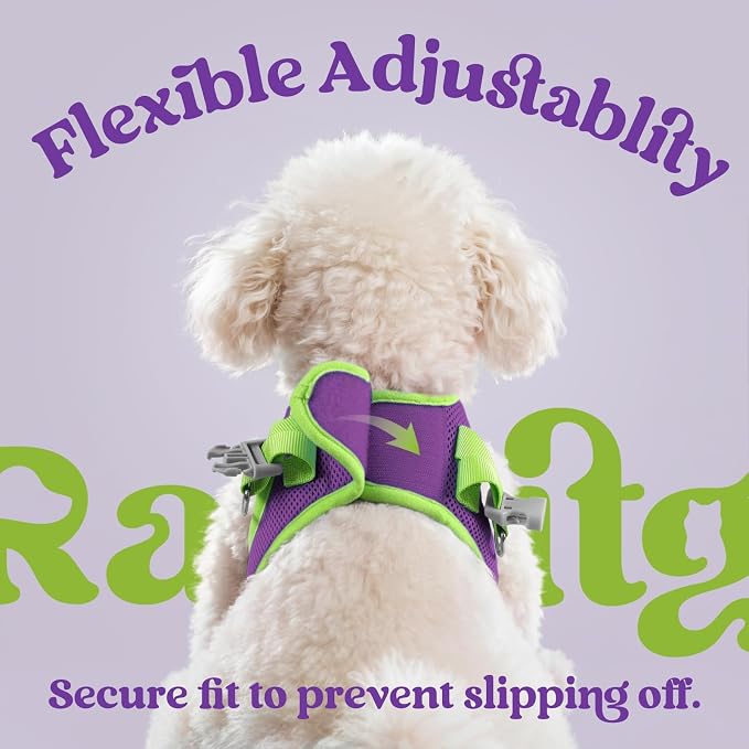 rabbitgoo Dog Harness Small Sized and Leash Set, Step in Soft Vest | Breathable Mesh, Easy Wear with Hook & Loop, Light and Reflective for Walking, Multi-colored, Purple & Green, S