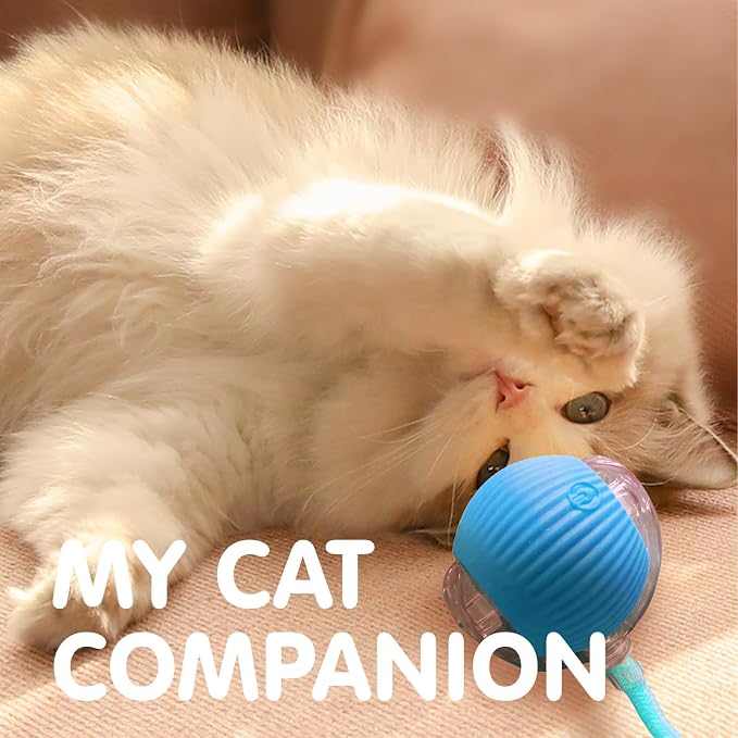 Rocfish Durable Interactive Cat Toys for Indoor Cats (Blue, 01) | Smart Automatic Cat Chase Ball Toy, Upgraded Speedy Tail Kitten Toy for Bored Indoor Adult Pets