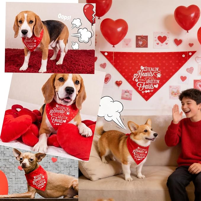 Reversible Dog Bandanas for Valentine's Day, Large, 1-Pack, Medium