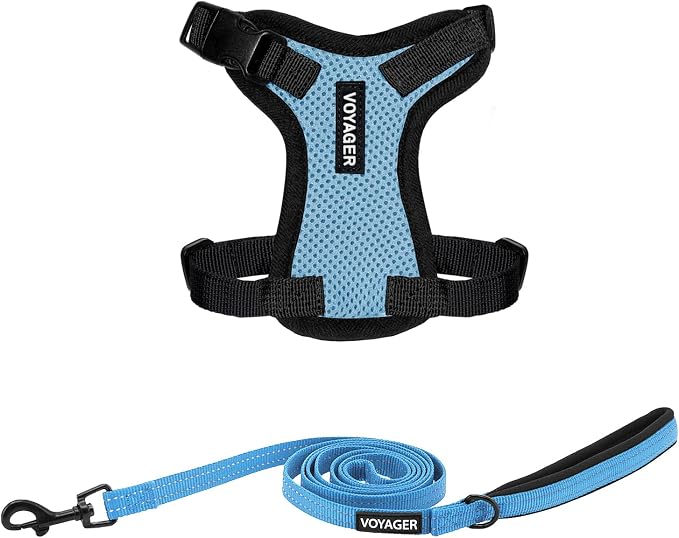 Best Pet Supplies Voyager Step-in Lock Pet Harness w Reflective Pet Leash Combo Set with Neoprene Handle 5ft - Supports Small, Medium and Large Breed Puppies/Cats - Baby Blue/Black Trim, XXXS