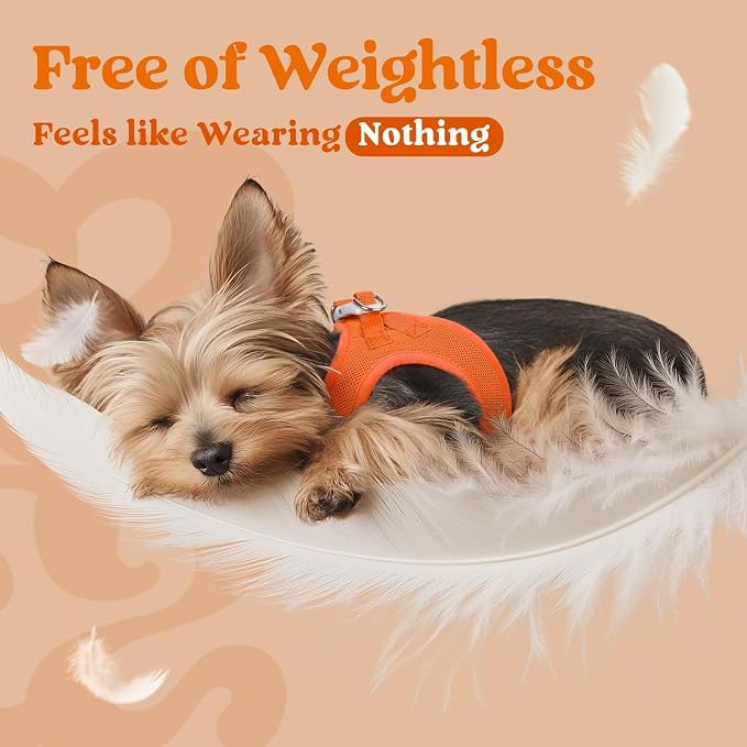 rabbitgoo Step-in Small Dog Harness, Puppy Vest for Medium Sized Pet | Easy Put on and off, Lightweight, Soft, Breathable Quick-Dry Air Mesh for Comfortable Secure Walking, Orange XXL