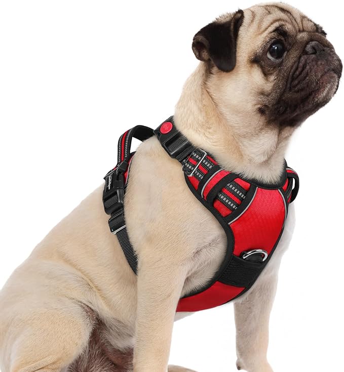 rabbitgoo Dog Harness Small Sized, No Pull 3 Buckles Easy On & Off | Soft Padded, Walking with Control Handle, Adjustable and Reflective, Red, Small