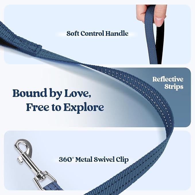 rabbitgoo Dog Harness Medium Sized and Leash Set, Step-in Puppy Pet Vest | Light, Soft, Breathable Air Mesh, Easy on and Remove with Hook & Loop, Secure Reflective for Walking, Navy Blue L