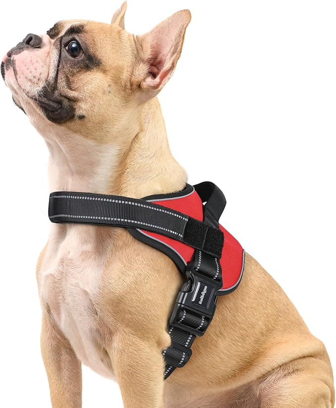 rabbitgoo No Pull No Choke Pet Vest, Adjustable Pet Harness with Molle | Small Sized Dog Harness, Reflective, Easy Wearing with One Buckle for Walking, Training, Red, S