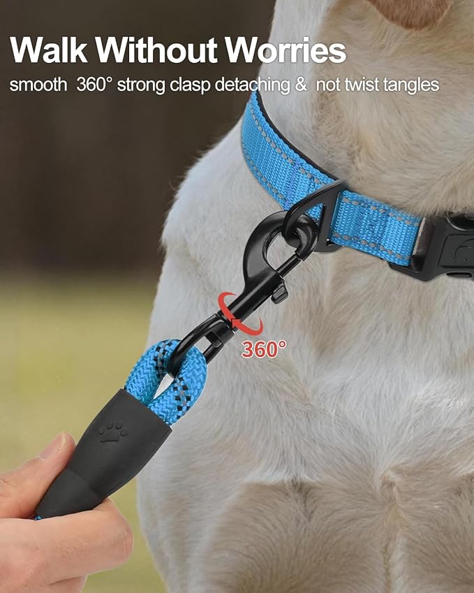 Joytale Rope Dog Leash for Medium Large Dogs, Padded Handle, 5FT, Aqua Blue | Reinforced Nylon Webbing, Comfort Grip Eases Hand Strain, Swivel Clip Prevents Tangles, Visible at Night, for Outdoor Walks
