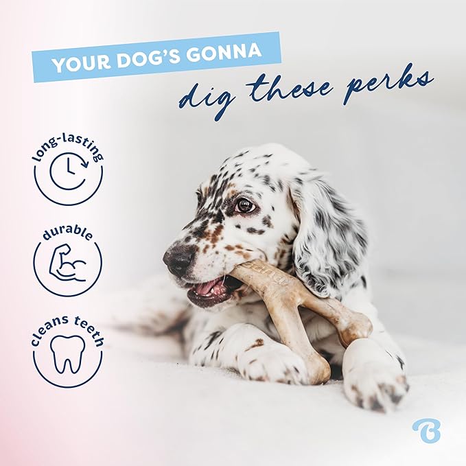 Benebone Puppy 2-Pack Dental Chew/Wishbone Dog Chew Toys, Real Bacon, Small | Durable, Made in USA, Dog Bones, Puppy Toys, Puppy Teething Toys, Long-Lasting, Keeps Them Busy