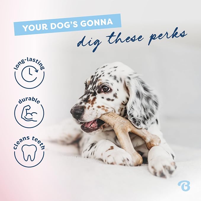 Benebone Puppy 2-Pack Dental/Wishbone Dog Chew Toys, Real Chicken, Small | Durable, Made in USA, Dog Bones, Puppy Chew Toys, Puppy Teething Toys, Long-Lasting, Keeps Them Busy