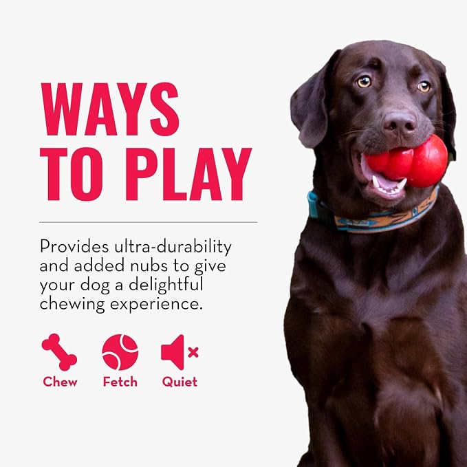 KONG Ring, Natural Rubber Chew Toy for Dental Health, for Small/Medium Dogs | KONG Natural Rubber Ring Toy That Supports Healthy Chewing Habits, Dog Dental Health & Natural Play Instincts