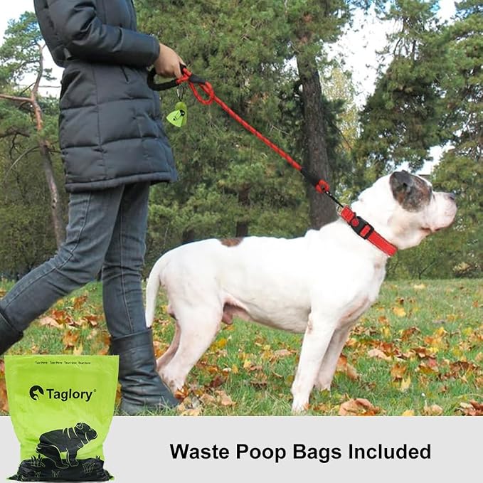 Taglory Rope Dog Leash for Medium Large Dogs, 5 FT Padded Handle, Red | Climbing Rope for Strong Pullers, Reflective for Night Walks and Training, Comfortable Grip, Anti-tangle Swivel Clip 1/2 inch