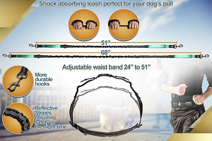 SparklyPets Hands Free Dog Leash for Medium and Large Breeds – Professional Harness with Reflective Stitches for Training, Walking, Jogging and Running Your Pet (Premium Teal, for 1 Dog)