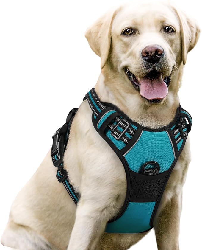 rabbitgoo Dog Harness No Pull with 2 Leash Clips, Adjustable Soft Padded, Reflective Oxford No Choke Pet Vest with Easy Control Handle for Large Dogs, Teal, L | No Choke with Handle, Adjustable Soft Padded, Reflective, Easy Control for Walking, Teal, L...