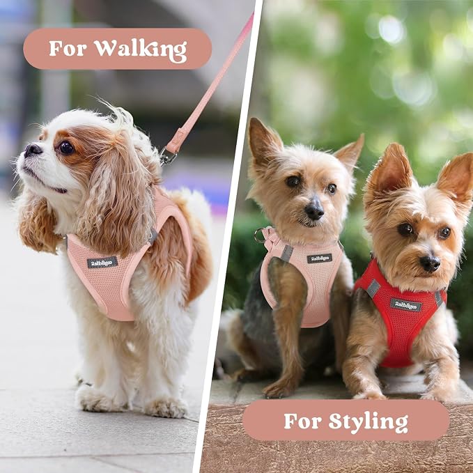 rabbitgoo Step-in Small Dog Harness, Puppy Vest for Small Sized Pet | Easy Put on and off, Lightweight, Soft, Breathable Quick-Dry Air Mesh for Comfortable Secure Walking, Pink XXXS