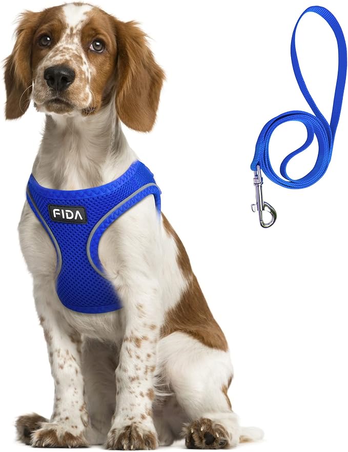 Fida Comfy Dog Harness with Leash, Soft Puppy Vest Escape Proof, Breathable Lightweight Soft Mesh, Adjustable Reflective Step-in Harness for Medium & Large Pet Walking (L, Blue)