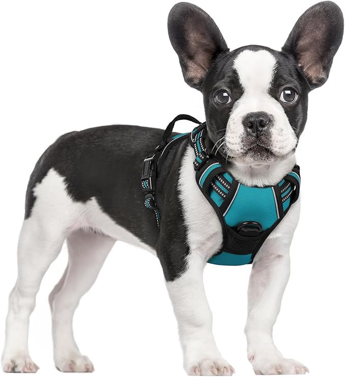 rabbitgoo Dog Harness, No Pull for Small Dogs with 2 Leash Clips, Pet Vest | No Choke with Handle, Adjustable Soft Padded, Reflective, Easy Control for Walking, Teal, Small
