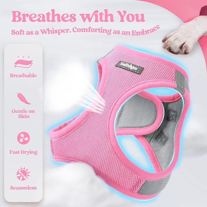 rabbitgoo Dog Harness Small Sized and Leash Set, Step-in Puppy Pet Vest | Light, Soft, Breathable Air Mesh, Easy on and Remove with Hook & Loop, Secure Reflective for Walking, Light Pink & Gray XS