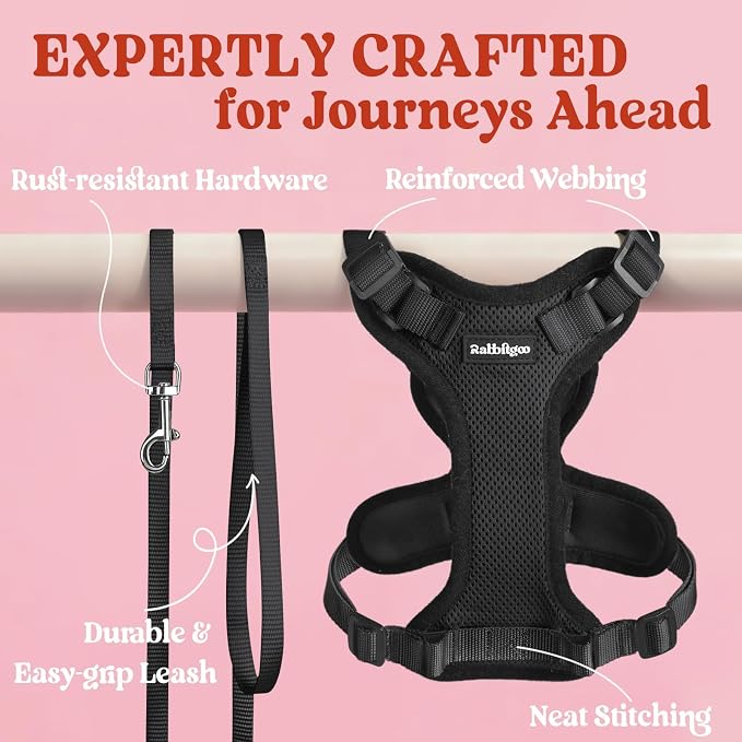 rabbitgoo Cat Harness and Leash Set, Escape Proof Vest, Black | Soft Breathable Mesh, Easy Adjustable Fit, Snap Buckles, Sturdy Clip, Reflective Strips, for Medium to Large Cats Walks, M