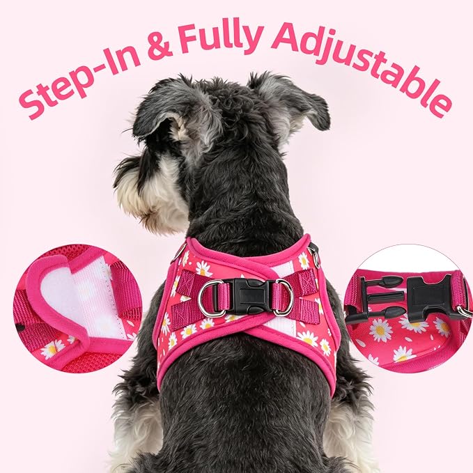 PUPTECK Dog Harness and Leash Set for Small Medium Dogs No Pull Step-in Soft Mesh Puppy Cat Vest Harnesses Reflective at Night, Fuchsia Daisy, M