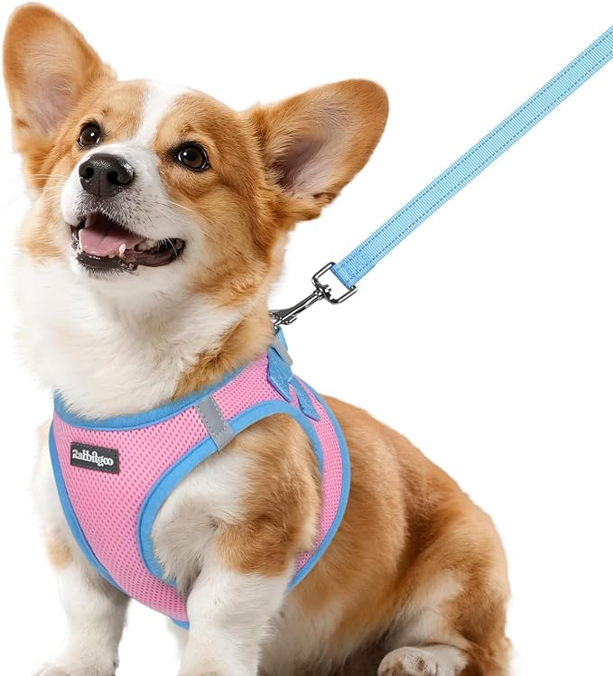 rabbitgoo Dog Harness Small Sized and Leash Set, Step in Soft Vest | Breathable Mesh, Easy Wear with Hook & Loop, Light and Reflective for Walking, Multi-colored, Pink & Blue, L
