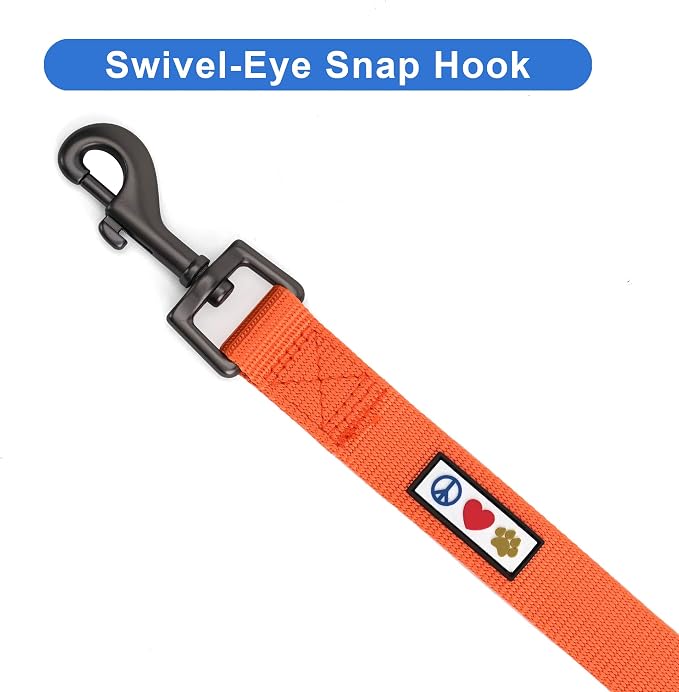Pawtitas Solid 6 ft Orange Dog Leash XXS/Cat Custom Name and Phone Embroidery Strong Nylon Leash for Small Breeds