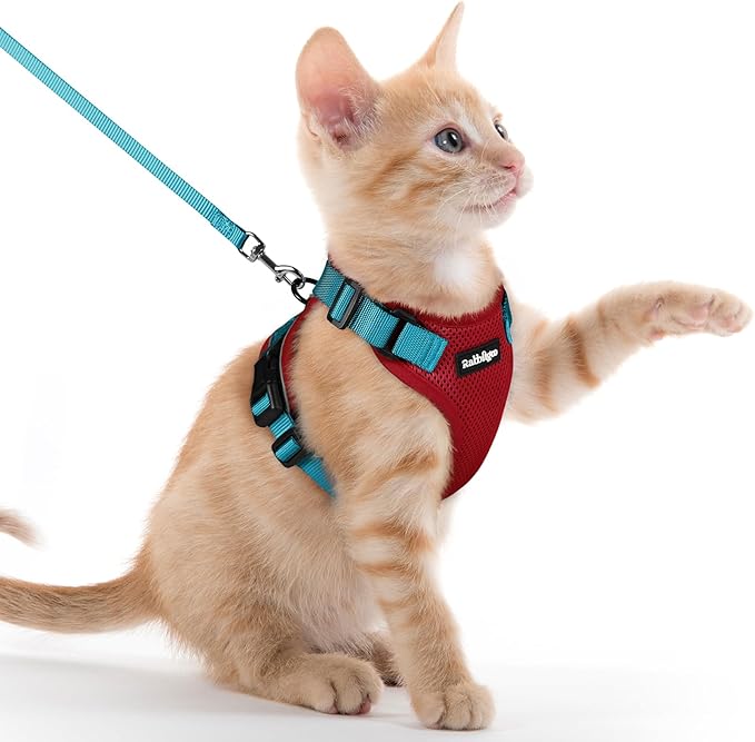 rabbitgoo Cat Harness and Leash Set, Escape Proof Vest, Red & Teal | Soft Breathable Mesh, Easy Adjustable Fit, Snap Buckles, Sturdy Clip, Reflective Strips, for Kittens & Small Cats Walks, Xxs