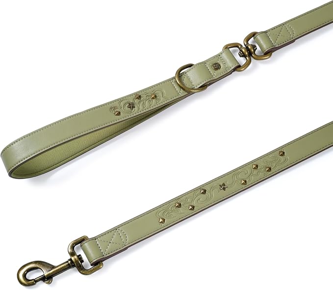 Blueberry Pet Premium Embossed Sage Green Glam Microfiber Leather Dog Leash with Antique Brass Studs