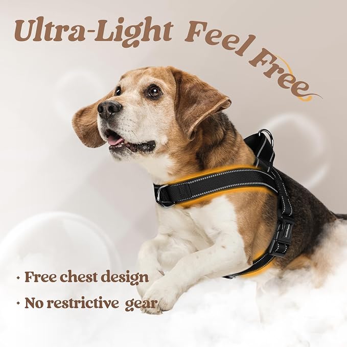 rabbitgoo Dog Harness No Pull, Quick Fit for Medium Sized Dog, Reflective | Chest Adjustable Pet Vest with Soft Padded Handle, No Choke Escape Proof for Walking Training, Black M