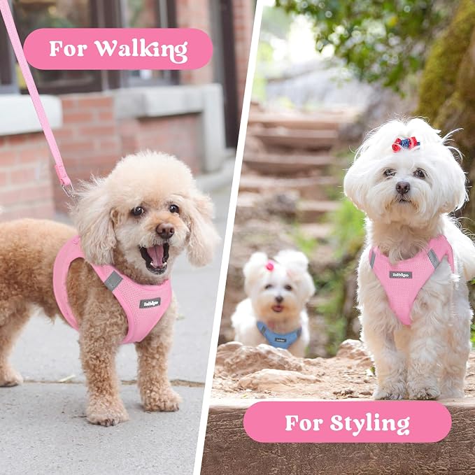 rabbitgoo Step-in Small Dog Harness, Puppy Vest for Medium Sized Pet | Easy Put on and off, Lightweight, Soft, Breathable Quick-Dry Air Mesh for Comfortable Secure Walking, Light Pink XXL