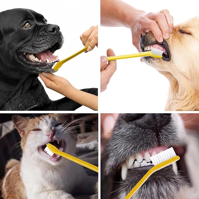 Pet Republique Dog Toothbrush Set of 3 – Dual Headed Dental Hygiene Brushes for Small to Large Dogs, Cats