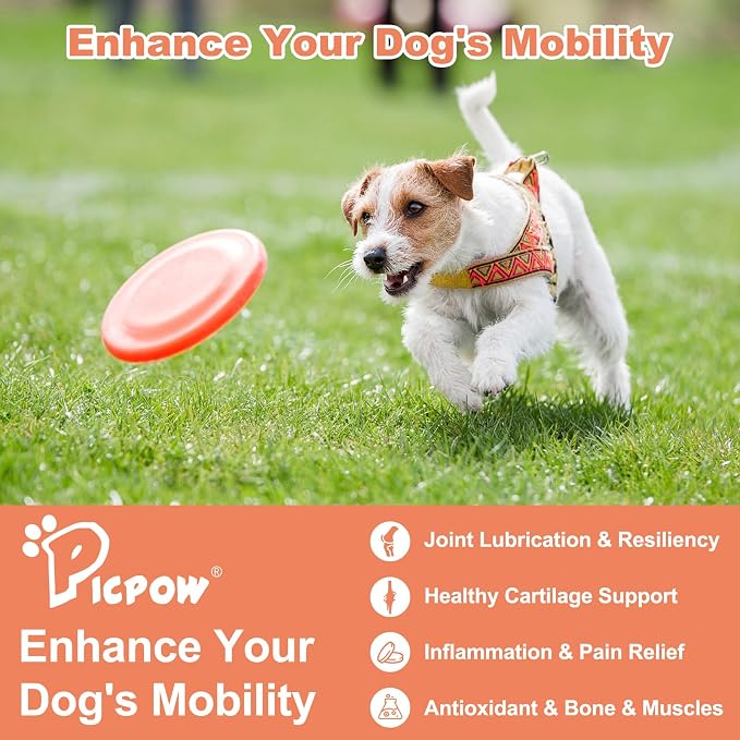 Chewable Bone Health for Dogs & Cats Promotes Tissue Repair, Supports Bones& Muscles, Digestive, Skin, Coat and Improved Nutrient Absorption, 120 Soft Chews.