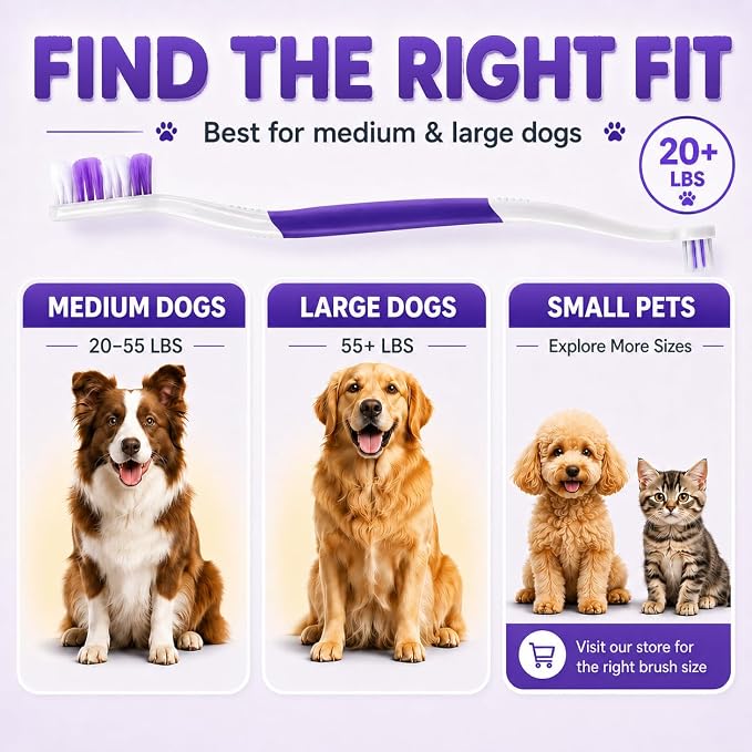 Dog Toothbrush, Dual-Head, for Medium-Large Dogs, Purple | Soft Bristles for Gentle Cleaning, 60° Curved Bristles for Better Coverage, Comfortable for Sensitive Gums