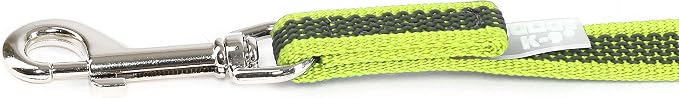 Color & Gray Super-Grip Leash with Handle, 14 mm x 2 m, Neon-Gray