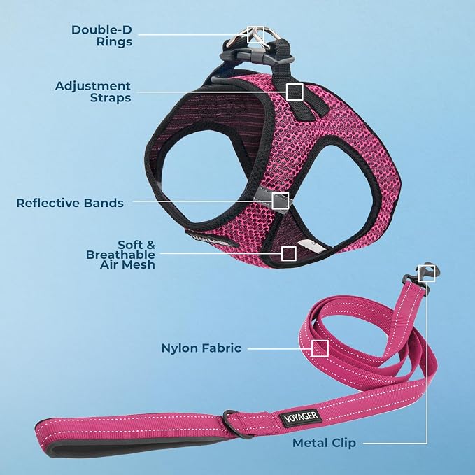 Best Pet Supplies Voyager Step-in Air All Weather Mesh Harness and Reflective Dog 5 ft Leash Combo with Neoprene Handle, for Small, Medium and Large Breed Puppies - Fuchsia (2-Tone), S