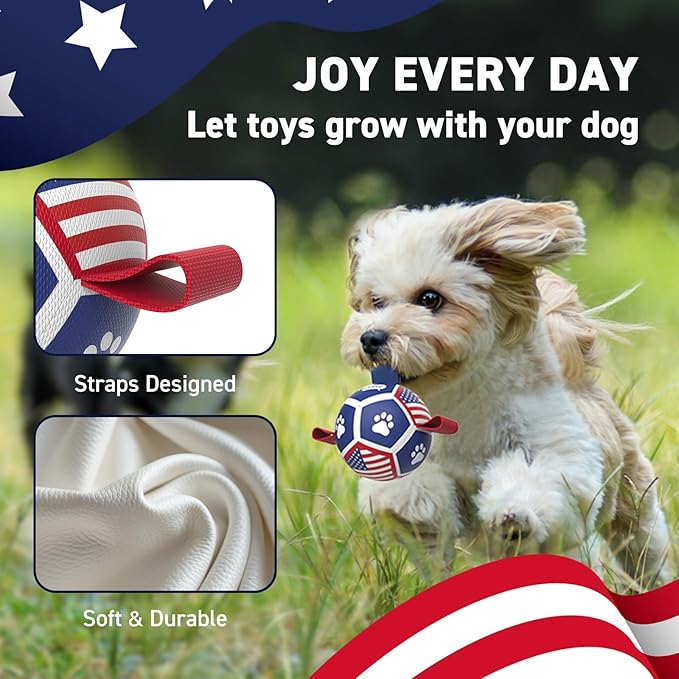 QDAN Puppy Balls, Small Dog Toys, Dog Balls with Straps for Small Breed | 3.5 Inch Small Soccer Ball for Dogs, Puppy Toys for 3-15 lbs Dogs, Dog Birthday Gift, Herding Ball for Small Dogs, Flag