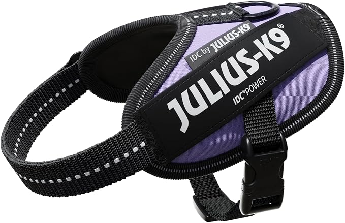 Julius-K9, 16IDC-PR-B2, IDC Powerharness, Dog Harness, Size: Baby 2, Purple