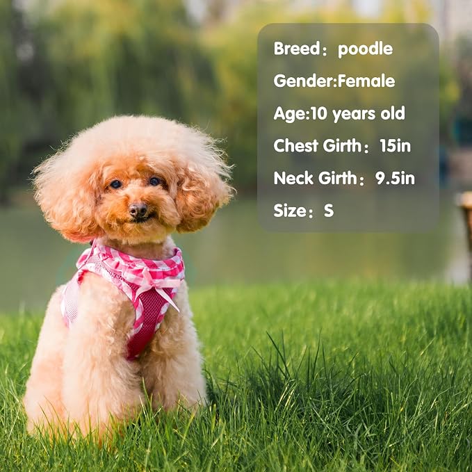 PUPTECK Dog Harness for Puppy and Small Sized Dogs, Step-in No Pull Soft Mesh Vest Harness for Cats Small Pets Walking, Fuschia, New XS