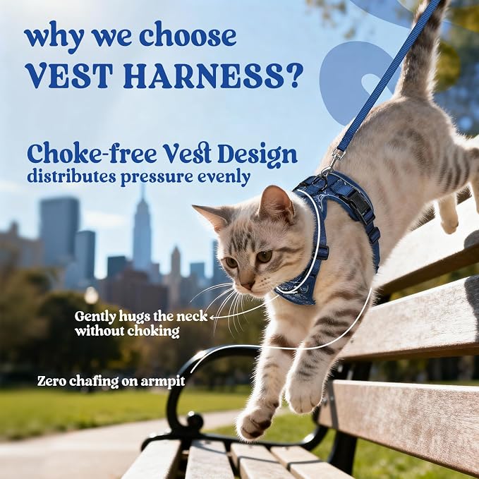 rabbitgoo Cat Harness and Leash Set, Escape Proof Vest, Cosmic Ace | Soft Breathable Mesh, Easy Adjustable Fit, Snap Buckles, Sturdy Clip, Reflective Strips, for Small & Average Cats Walks, Xs