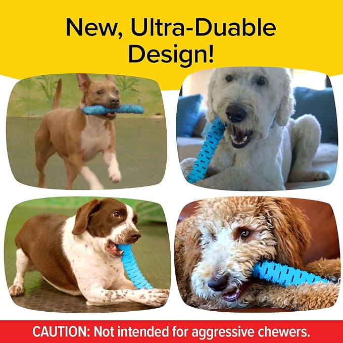 BulbHead BrushBone As Seen On TV Doggy Toothbrush Chew Toy 3 Pack, Plaque & Tartar Remover, Works 3 Ways to Clean While They Play, Invented by a Dentist, Add Peanut Butter or Cheese, Brush Bone