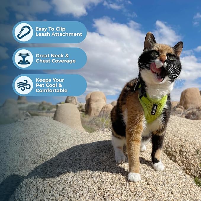 Voyager Escape-Proof Step-in Lock Cat Harness & 5ft Neoprene-Handle Leash Set All-Weather Mesh with Reflective Stitching for Small to Large Cats by Best Pet Supplies, Lime Green, S