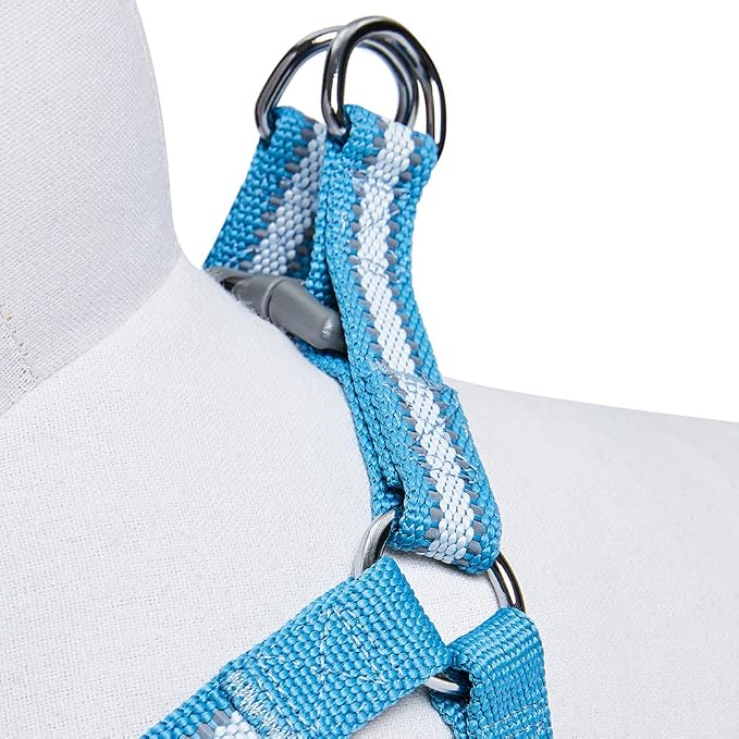 Blueberry Pet Essentials Step-in Reflective Back to Basics Dog Harness, Sky Blue, Chest Girth 20" - 26", Medium, Adjustable Harnesses for Dogs