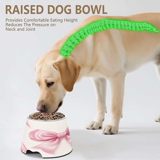 Blueangle Elevated Dog Bowls with Stainless Steel - Non-Slip 2.3 Cup High Capacity Pet Dish for Spinal Health & Ribbon Bows Design（174）