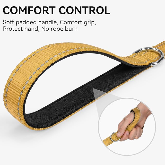 Joytale Reflective Dog Leash for Medium & Large Dogs, 6 FT x 1", Khaki | Heavy Duty Nylon Webbing, Padded Handle for Comfort, Visible at Night, for Walking & Training