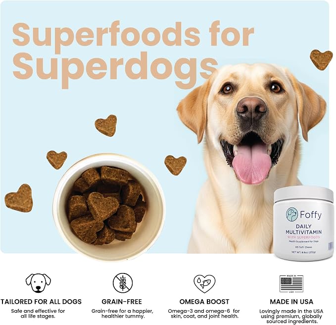 Foffy Daily Dog Multivitamin Soft Chews - Hip & Joint, Skin & Coat - 60 CT