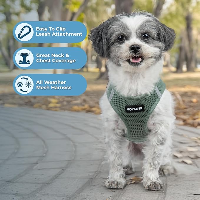 Voyager Step-in Air Dog Vest Harness - Moss Green, XXX-Small | 11 - 12" in Chest, Reflective Bands, All Weather Breathable Air Mesh, Cats Compatible, Lightweight, Fast Drying