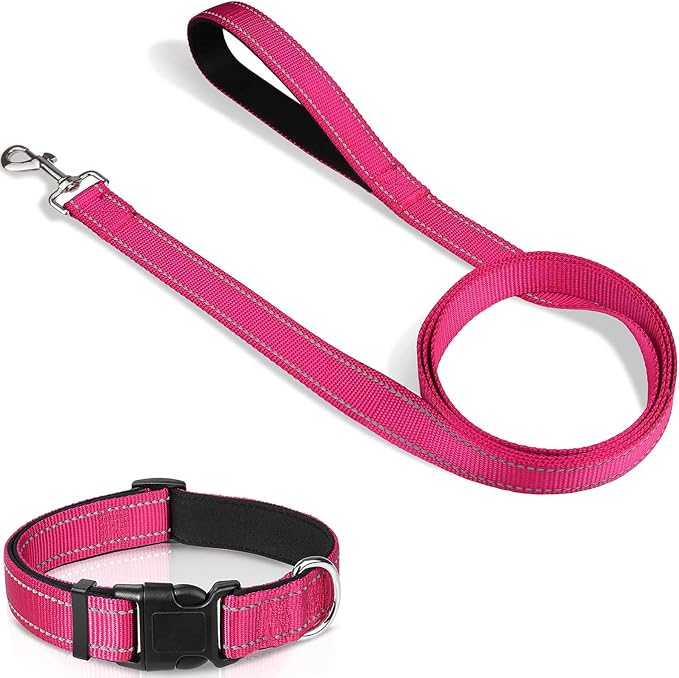 Joytale 6FT1'' Dog Leash and Collar (16-24"), Reflective Soft Neoprene Padded Pet Collars and Leashes for Large Dogs, Hotpink